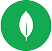 MongoDB
